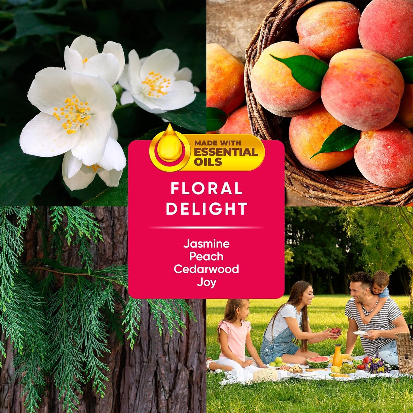 PINALEN 2X Max Aromas Multipurpose Cleaner- Floral Delight Scent (28 fl oz)