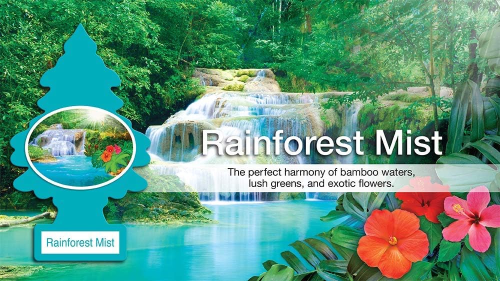 Little Trees Cardboard Hanging Car, Home & Office Air Freshener, Rainforest Mist (Pack of 12)