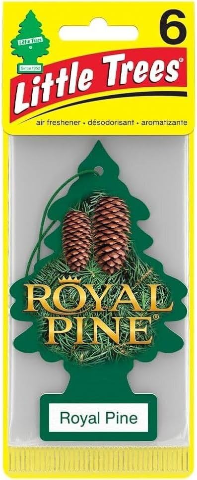LITTLE TREES Car Air Freshener | Hanging Paper Tree for Home or Car | Royal Pine | 6 Pack