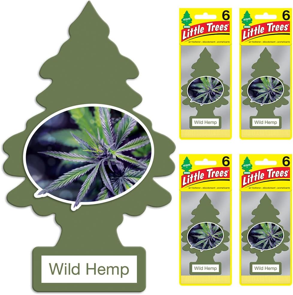 LITTLE TREES Air Fresheners Car Air Freshener. Hanging Tree Provides Long Lasting Scent for Auto or Home. Wild Hemp, 24 Air Fresheners