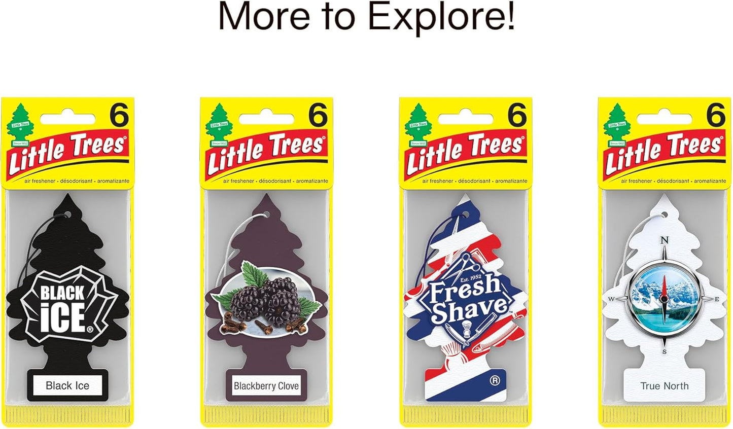 LITTLE TREES Car Air Freshener | Hanging Tree Provides Long Lasting Scent for Auto and Home | Leather, 24 Air Fresheners