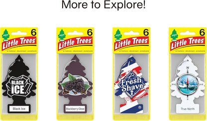 LITTLE TREES Car Air Freshener | Hanging Tree Provides Long Lasting Scent for Auto and Home | Leather, 24 Air Fresheners