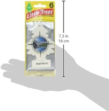 Little Trees Car Air Freshener 6-Pack (True North)