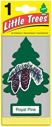 LITTLE TREES Car Air Freshener | Hanging Paper Tree for Home or Car | Royal Pine | 24 Pack
