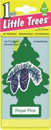 LITTLE TREES Car Air Freshener | Hanging Paper Tree for Home or Car | Royal Pine | 24 Pack