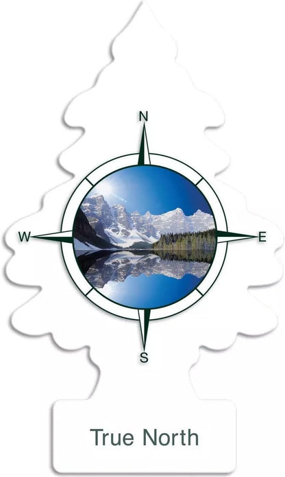 Little Trees Air Fresheners, True North (Pack of 12)