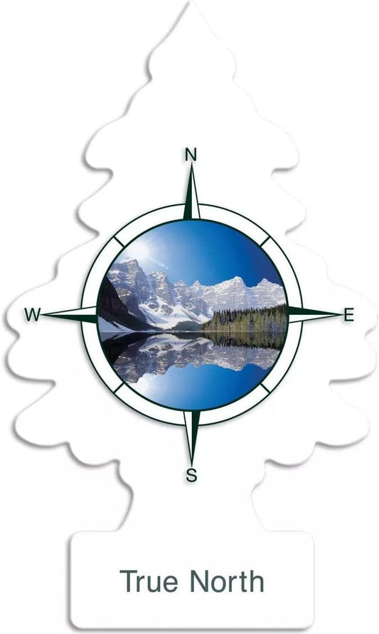 Little Trees Air Fresheners, True North (Pack of 12)