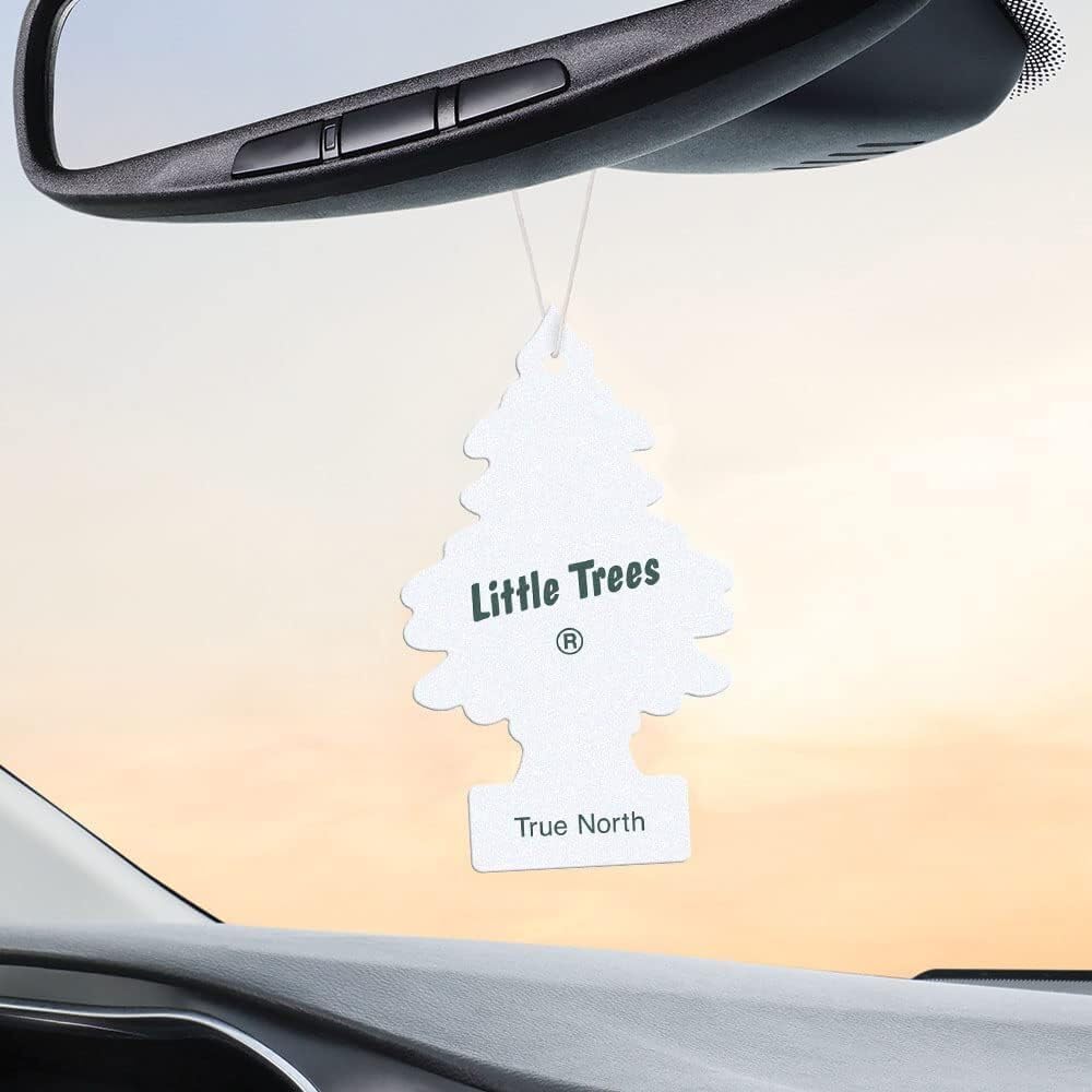 Little Trees Air Fresheners, True North (Pack of 12)