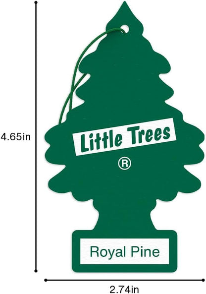 LITTLE TREES Car Air Freshener | Hanging Paper Tree for Home or Car | Royal Pine | 3 Pack