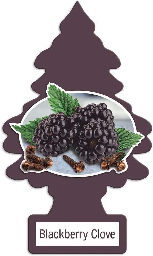 Little Trees Masculine Scent Pack of 12 Freshener - 12 Different Masculine Scents of Air Fresheners – Car, Trucks, RV, Home Air Freshener AHSR Products Bundle + AHSR Air Freshener