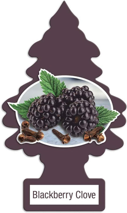 Little Trees Masculine Scent Pack of 12 Freshener - 12 Different Masculine Scents of Air Fresheners – Car, Trucks, RV, Home Air Freshener AHSR Products Bundle + AHSR Air Freshener