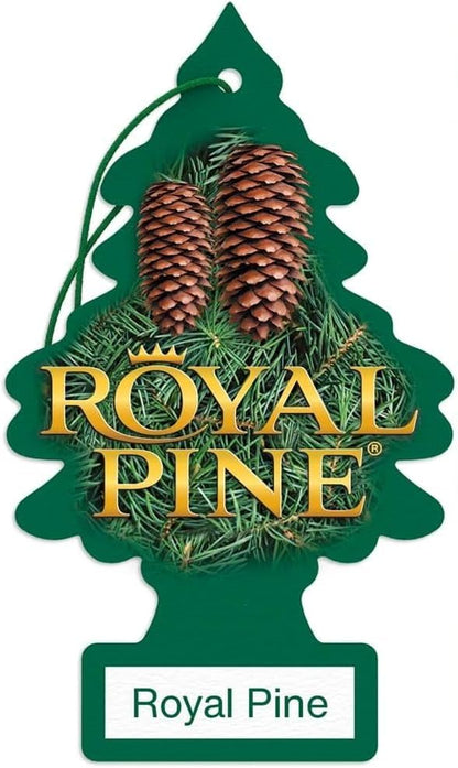 LITTLE TREES Car Air Freshener | Hanging Paper Tree for Home or Car | Royal Pine | 3 Pack