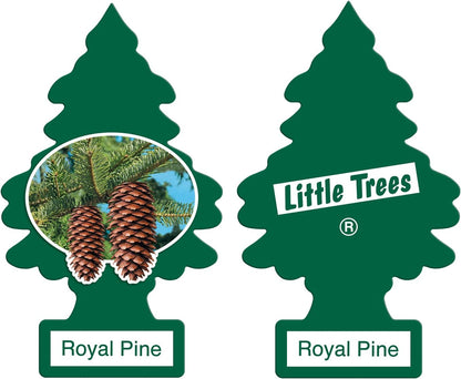 LITTLE TREES Car Air Freshener | Hanging Paper Tree for Home or Car | Royal Pine | 12 Pack