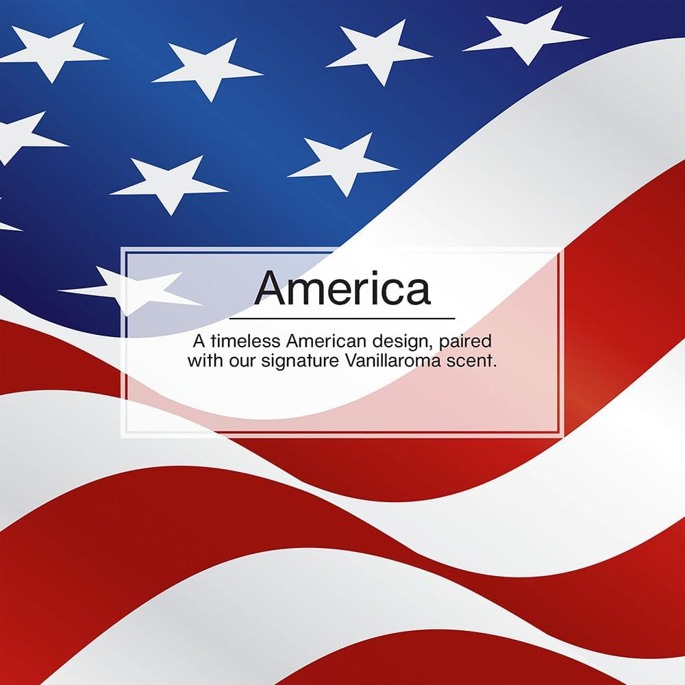 LITTLE TREES Car Air Freshener | Hanging Tree Provides Long Lasting Scent for Auto and Home | America, 24 Air Fresheners