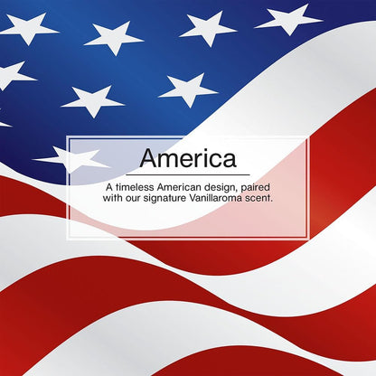 LITTLE TREES Car Air Freshener | Hanging Tree Provides Long Lasting Scent for Auto and Home | America, 24 Air Fresheners