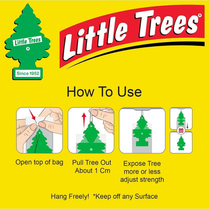 Little Trees Air Fresheners, True North (Pack of 12)