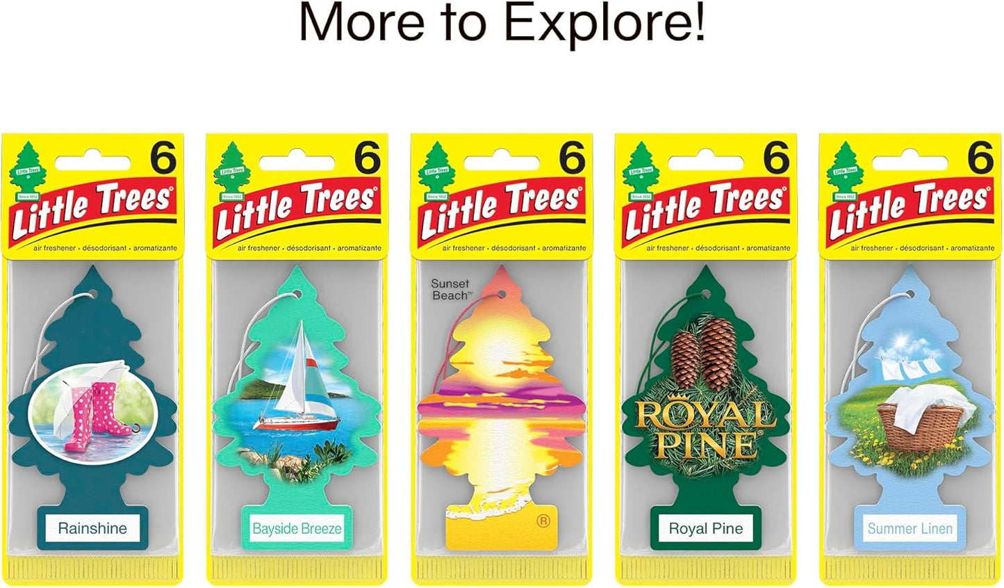 LITTLE TREES Car Air Freshener | Hanging Tree Provides Long Lasting Scent for Auto and Home | True North, 24 Air Fresheners