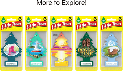LITTLE TREES Car Air Freshener | Hanging Tree Provides Long Lasting Scent for Auto and Home | True North, 24 Air Fresheners