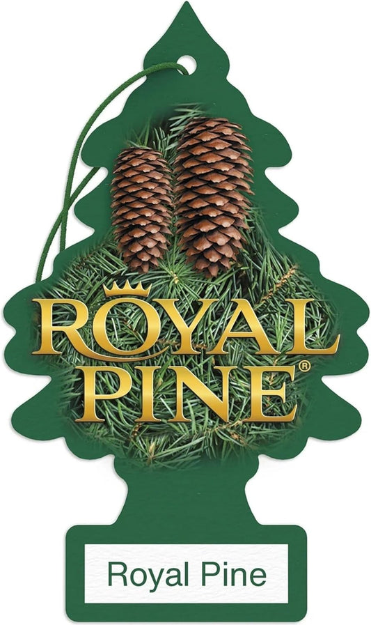 LITTLE TREES Car Air Freshener | Hanging Paper Tree for Home or Car | Royal Pine | 6 Pack