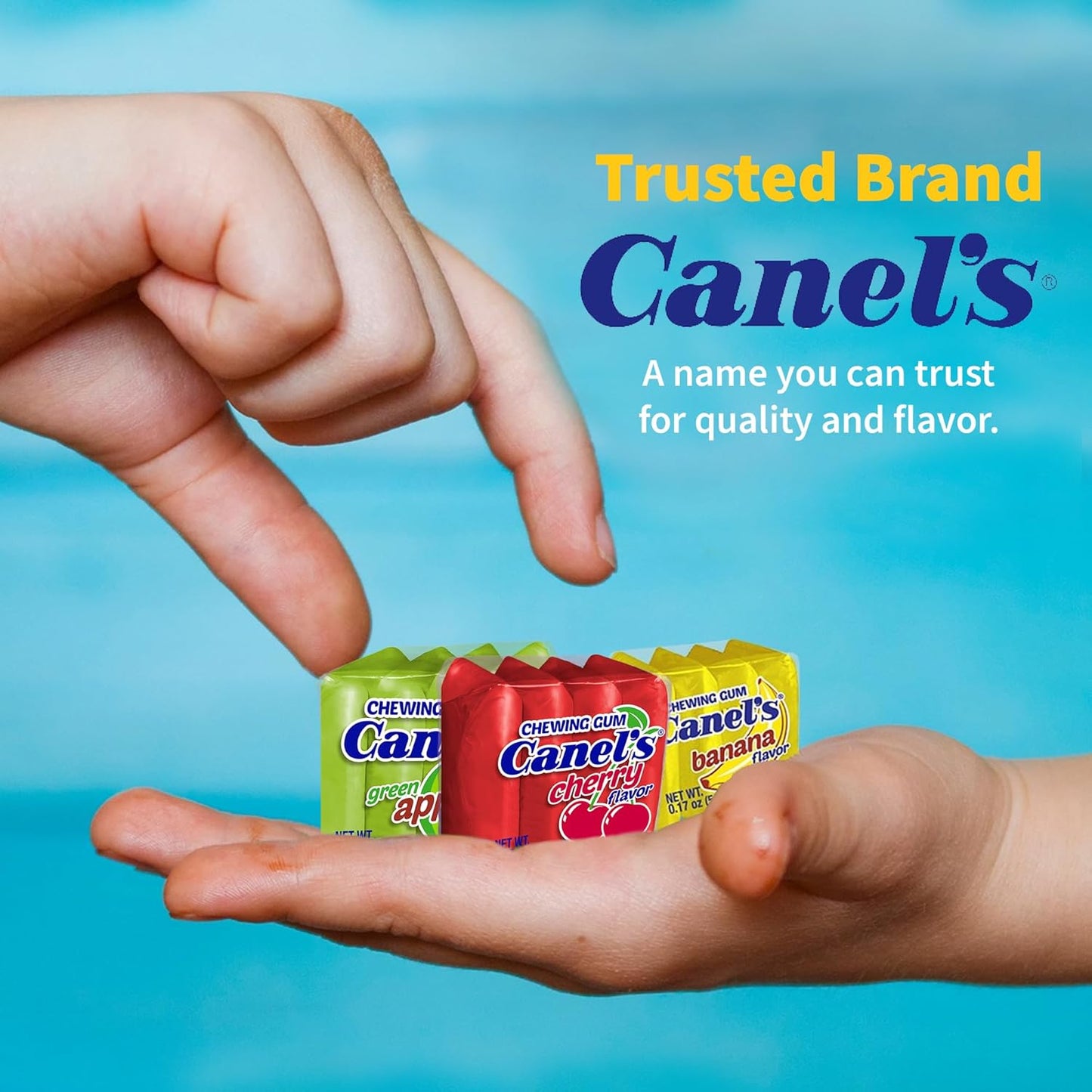 Canel's 4-Piece Gum Pack Jar in Fruit Flavors - Cherry, Banana, Grape, and Apple, 300 Count