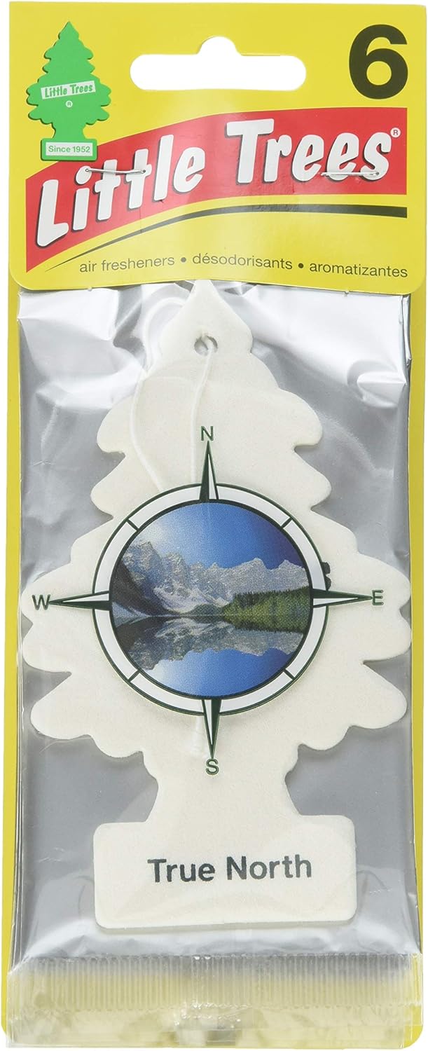 Little Trees Car Air Freshener 6-Pack (True North)