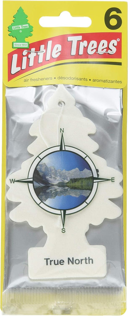 Little Trees Car Air Freshener 6-Pack (True North)