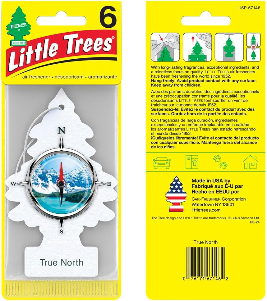 LITTLE TREES Car Air Freshener | Hanging Tree Provides Long Lasting Scent for Auto and Home | True North, 24 Air Fresheners