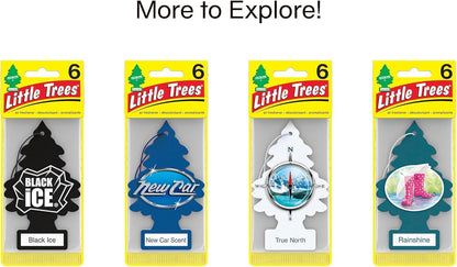 LITTLE TREES Car Air Freshener | Hanging Paper Tree for Home or Car | Royal Pine | 3 Pack