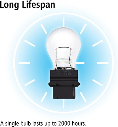 3156 Light Bulb 10 Pack,3156 Automotive Brake Light Turn 3156 Miniature Bulb Mini Bulb Taillight Turn Signal Light,Replacement for Cars,Trucks,SUVs