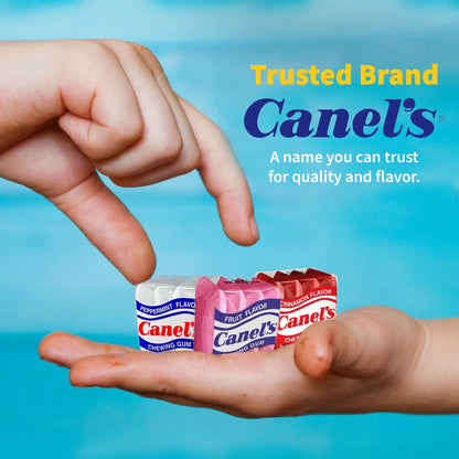 Canel's Chewing Gum Big Fun Pack, Original Flavors, 4 Pieces, 60 Pack
