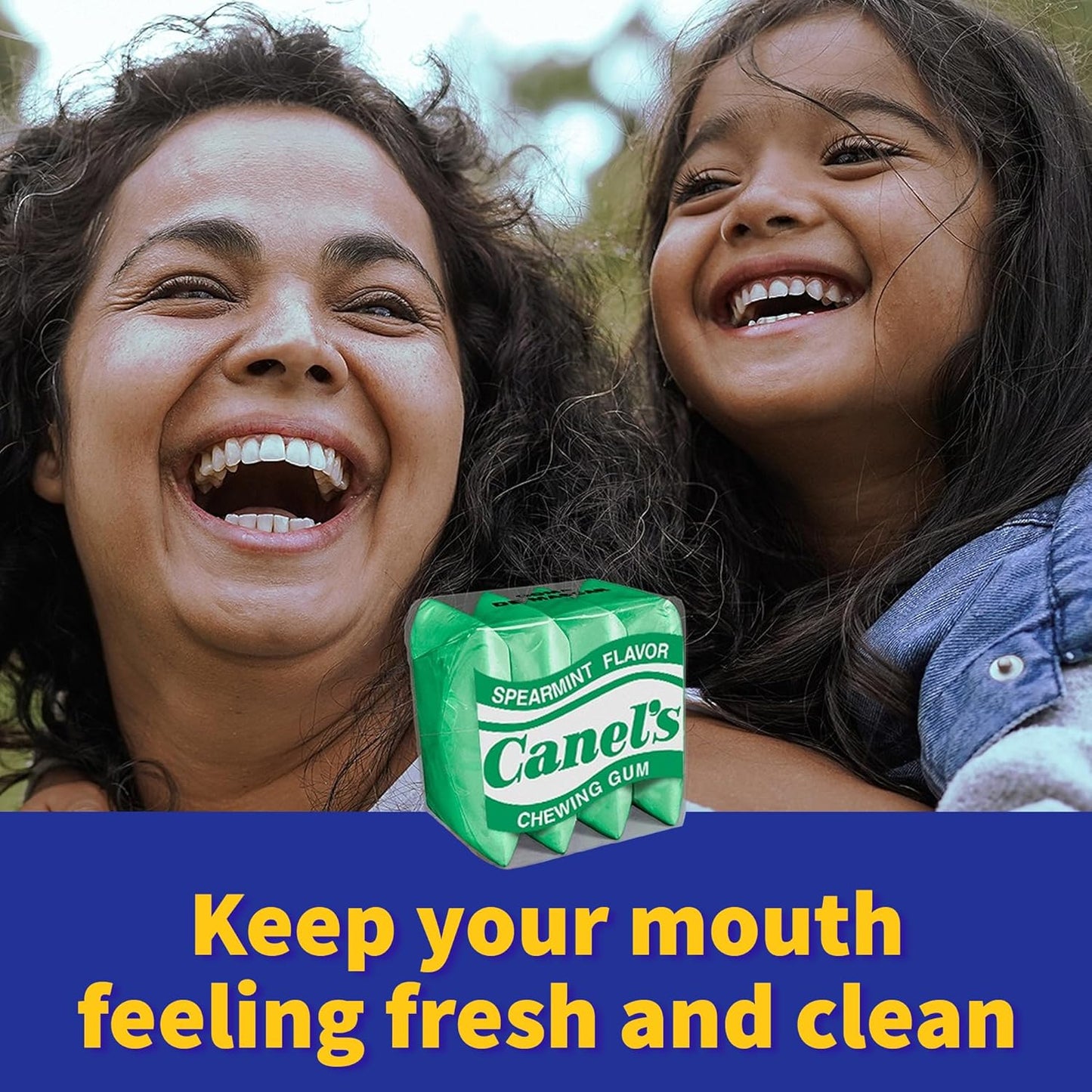 Canel's 4-Piece Gum Pack Jar in Original Flavors - Peppermint, Spearmint, Cinnamon, Fruit, Blueberry, Violet, and Menthol, 300 Count