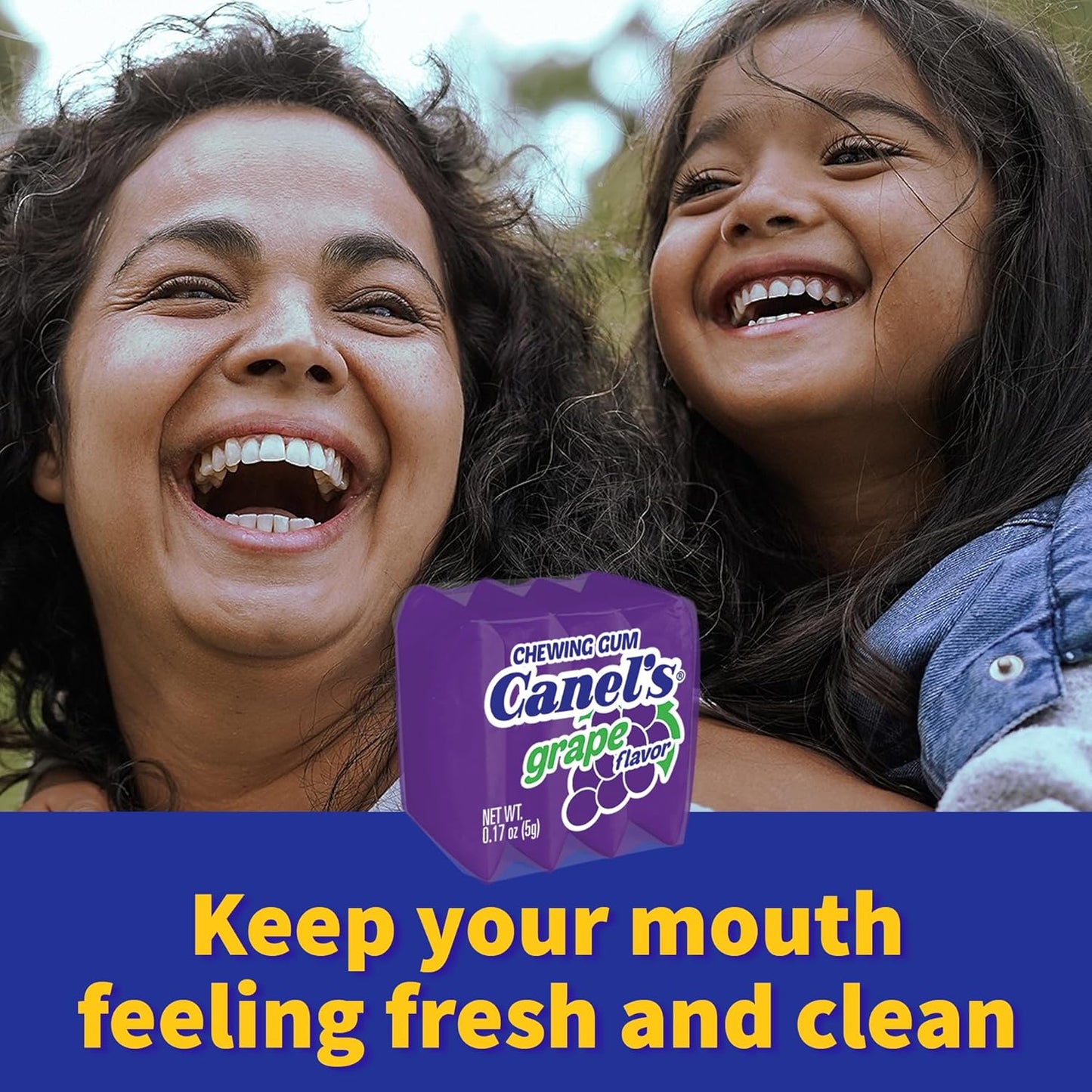 Canel's 4-Piece Gum Pack Jar in Fruit Flavors - Cherry, Banana, Grape, and Apple, 300 Count