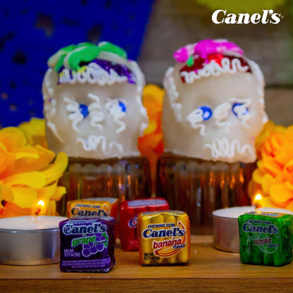 Canel's 4-Piece Gum Pack Jar in Fruit Flavors - Cherry, Banana, Grape, and Apple, 300 Count