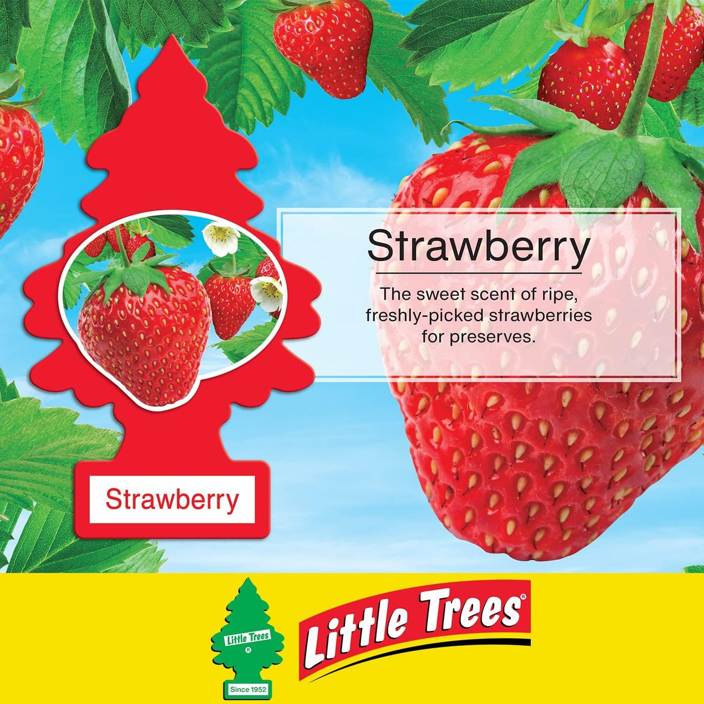 LITTLE TREES Car Air Freshener | Hanging Paper Tree for Home or Car | Strawberry | 6 Pack