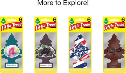 LITTLE TREES Air Fresheners Car Air Freshener. Hanging Tree Provides Long Lasting Scent for Auto or Home. Wild Hemp, 24 Air Fresheners