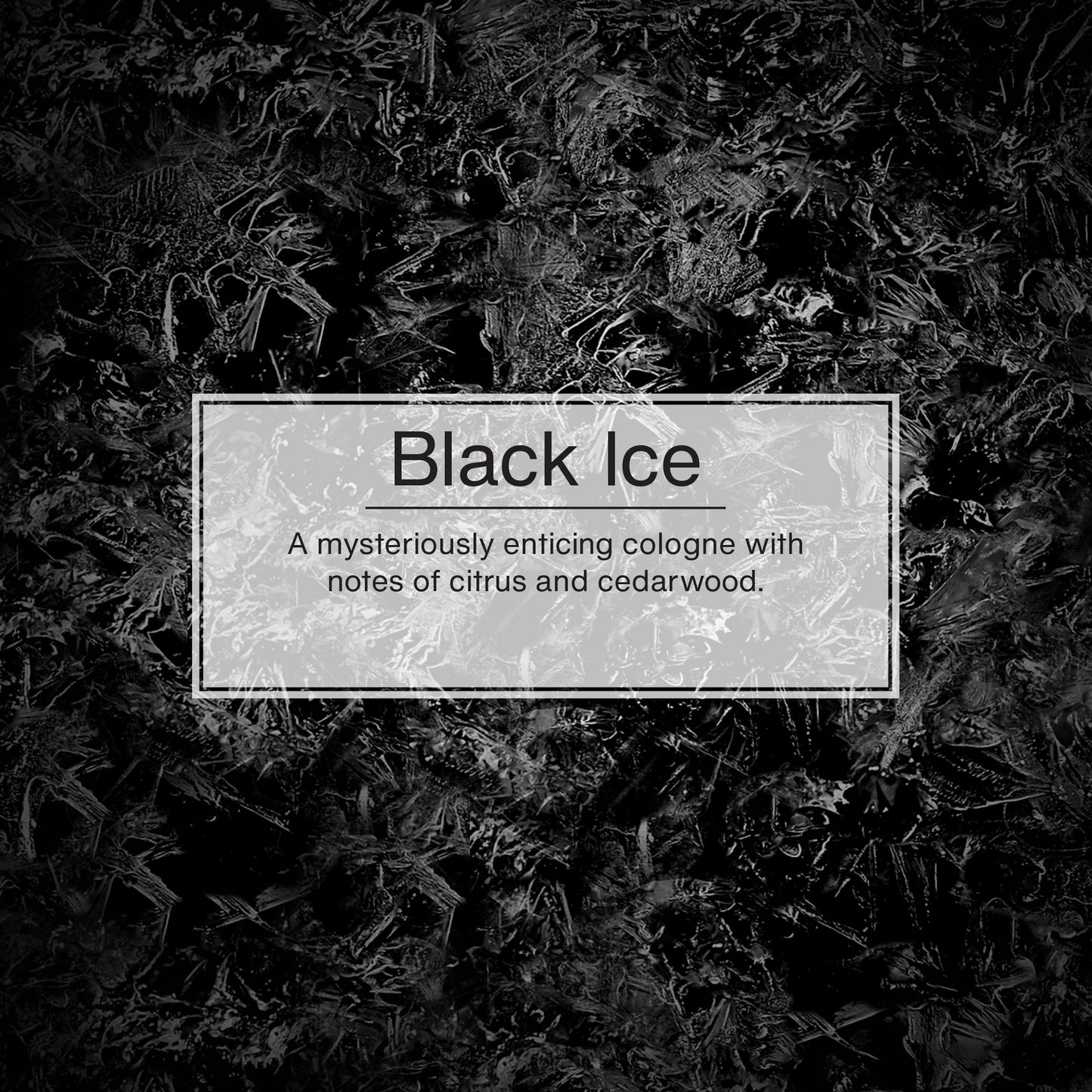 Little Trees Air Freshener Black Ice Fragrance 1-Pack